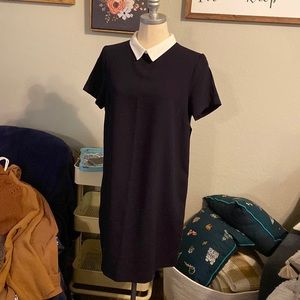 ZARA | Navy White Collared Dress